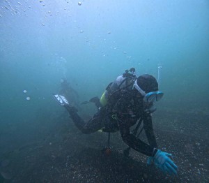 DCIM100GOPROGOPR3989.JPG