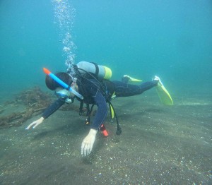 DCIM100GOPROGOPR4192.JPG