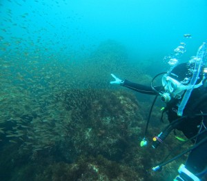 DCIM100GOPROGOPR9530.JPG