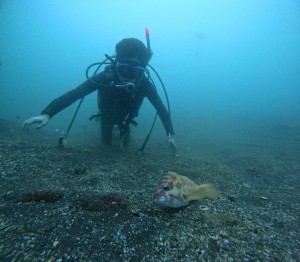 DCIM100GOPROGOPR9682.JPG