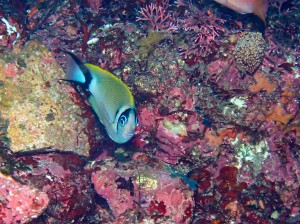 P9120019