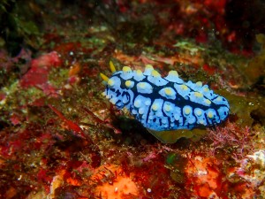line_oa_chat_250914_183226_group_2