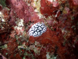 line_oa_chat_250923_183348