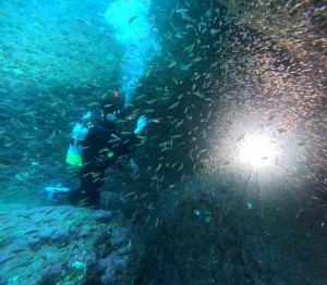 DCIM101GOPROGOPR1889.JPG