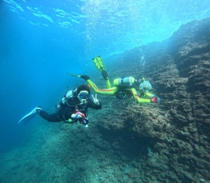 DCIM101GOPROGOPR1919.JPG