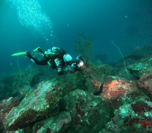 DCIM100GOPROGOPR5273.JPG