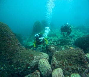 GOPR5316