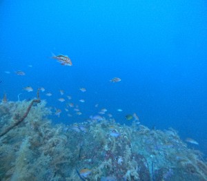 DCIM100GOPROGOPR7757.JPG