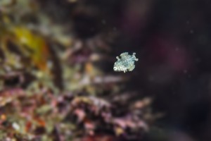 DSC_1192