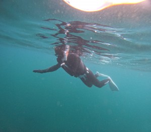 DCIM101GOPROGOPR2639.JPG