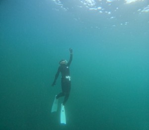 DCIM101GOPROGOPR2647.JPG