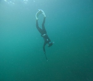 DCIM101GOPROGOPR2654.JPG
