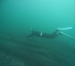 DCIM101GOPROGOPR2658.JPG