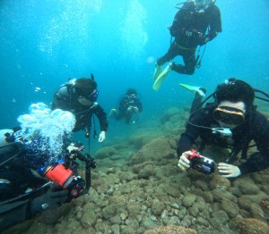 DCIM101GOPROGOPR2744.JPG