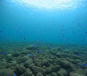 DCIM101GOPROGOPR2745.JPG