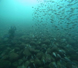 DCIM101GOPROGOPR2750.JPG