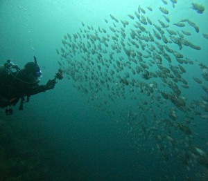 DCIM101GOPROGOPR2757.JPG