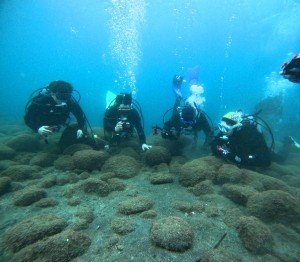 DCIM101GOPROGOPR2762.JPG