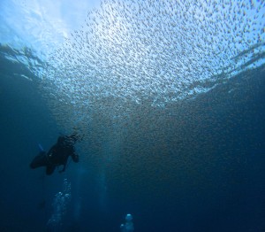 DCIM101GOPROGOPR2767.JPG