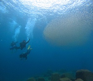 DCIM101GOPROGOPR2771.JPG