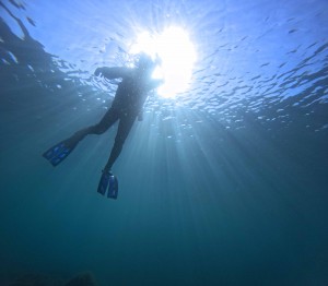DCIM101GOPROGOPR2874.JPG