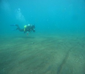 DCIM101GOPROGOPR2908.JPG