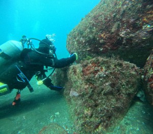 DCIM101GOPROGOPR2919.JPG