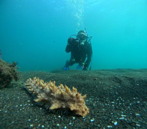 DCIM101GOPROGOPR2925.JPG