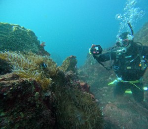 DCIM101GOPROGOPR2936.JPG