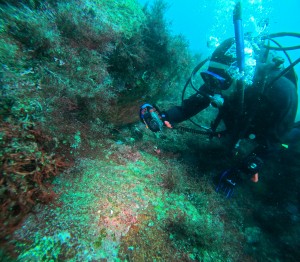 DCIM101GOPROGOPR2939.JPG