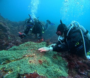 DCIM101GOPROGOPR2960.JPG