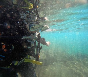 DCIM101GOPROGOPR3129.JPG