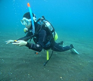 DCIM101GOPROGOPR3174.JPG