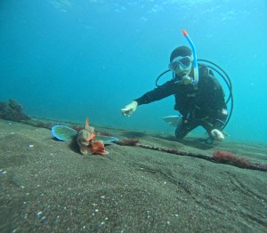 DCIM101GOPROGOPR3223.JPG