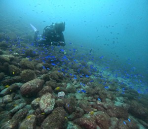 DCIM100GOPROGOPR5368.JPG