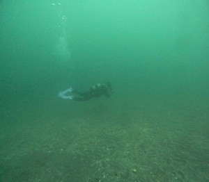 DCIM100GOPROGOPR5381.JPG