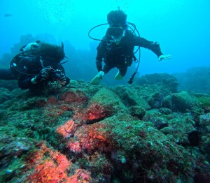 DCIM100GOPROGOPR5389.JPG