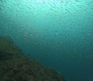 DCIM100GOPROGOPR5412.JPG