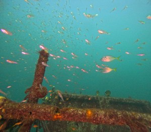 DCIM100GOPROGOPR5478.JPG