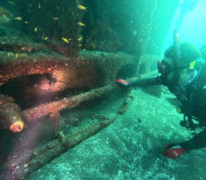 DCIM100GOPROGOPR5481.JPG