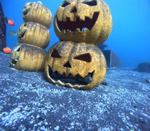 DCIM100GOPROGOPR5502.JPG