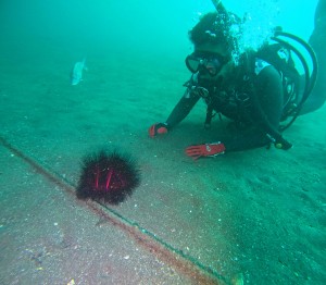 DCIM100GOPROGOPR5505.JPG