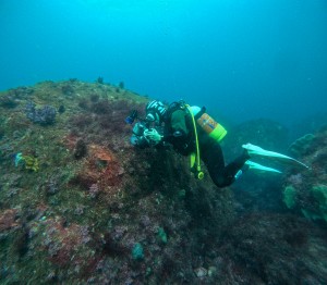 GOPR5541