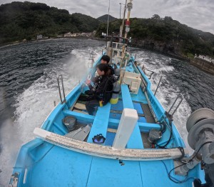 GOPR5542
