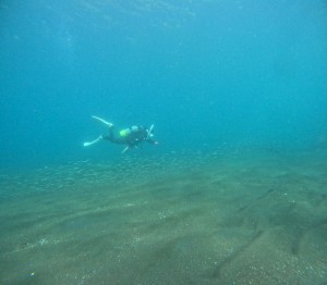 DCIM100GOPROGOPR5719.JPG
