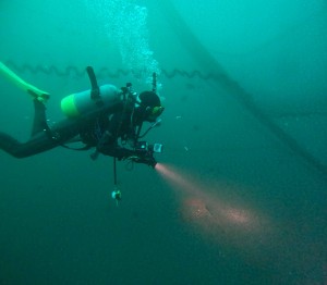 DCIM100GOPROGOPR5766.JPG