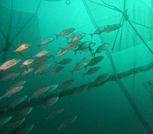 DCIM100GOPROGOPR5787.JPG