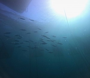 DCIM100GOPROGOPR5795.JPG