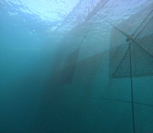 DCIM100GOPROGOPR5812.JPG