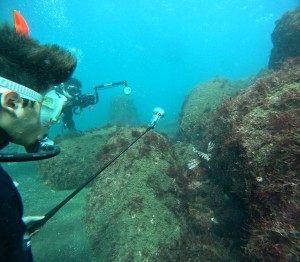 DCIM100GOPROGOPR5827.JPG